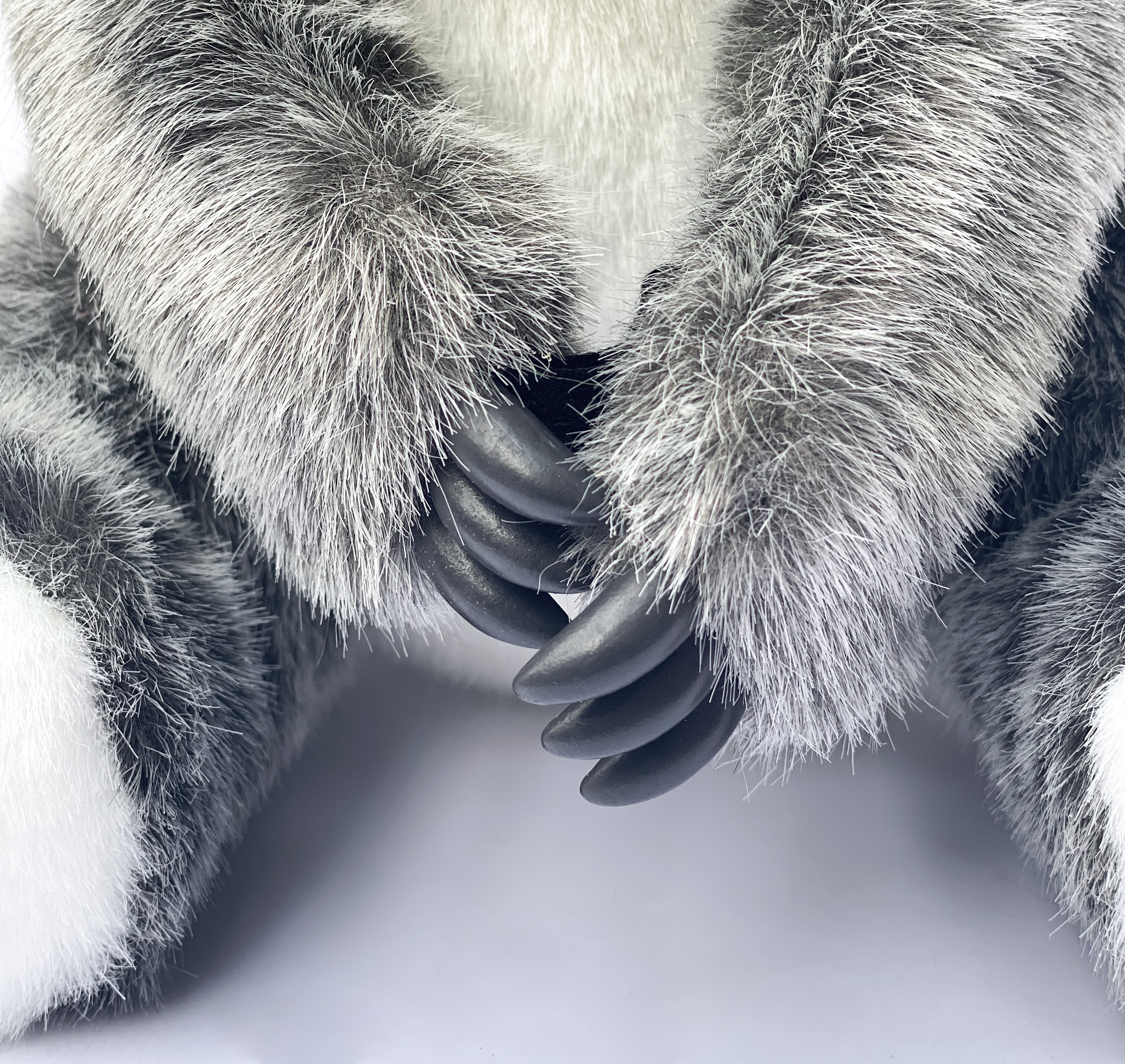 In the language of the Worimi on who land Port Stephens Koala Hospital stands, 'Guula' is the name for koala.