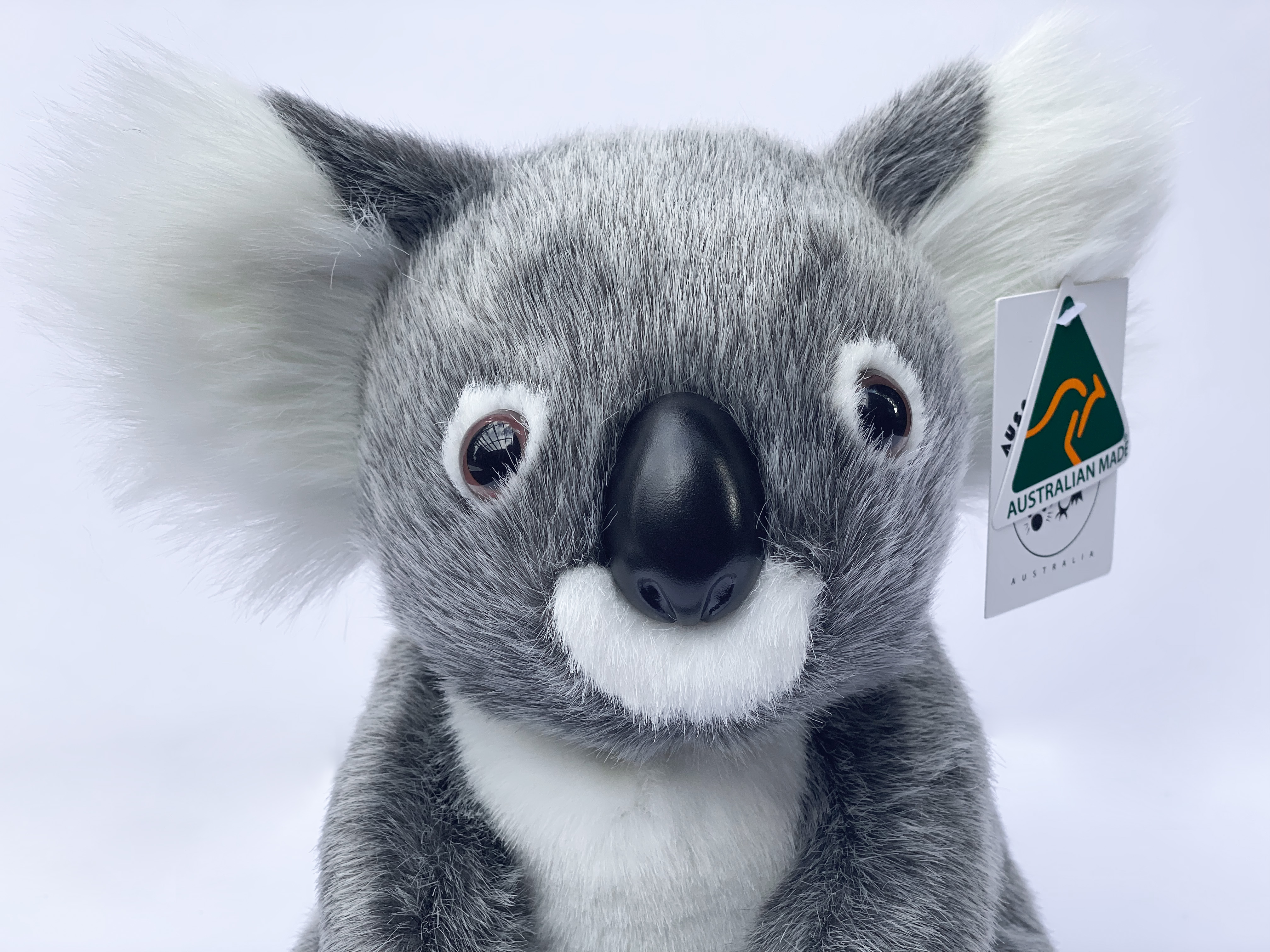 In the language of the Worimi on who land Port Stephens Koala Hospital