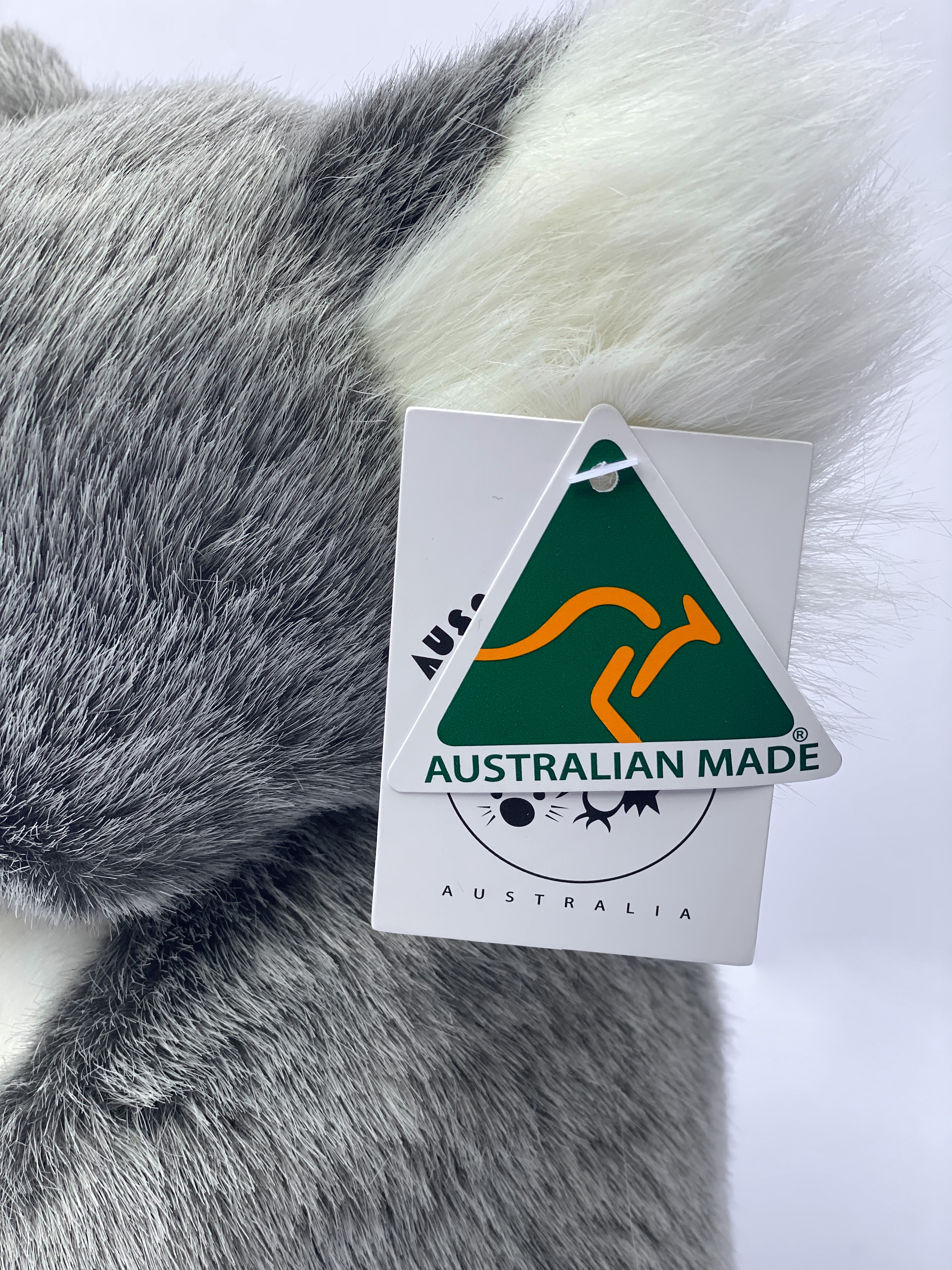 In the language of the Worimi on who land Port Stephens Koala Hospital stands, 'Guula' is the name for koala.